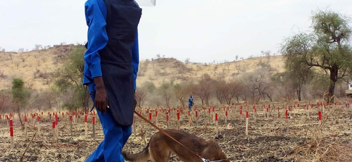 UN warn of growing landmine contamination as countries abandon treaty