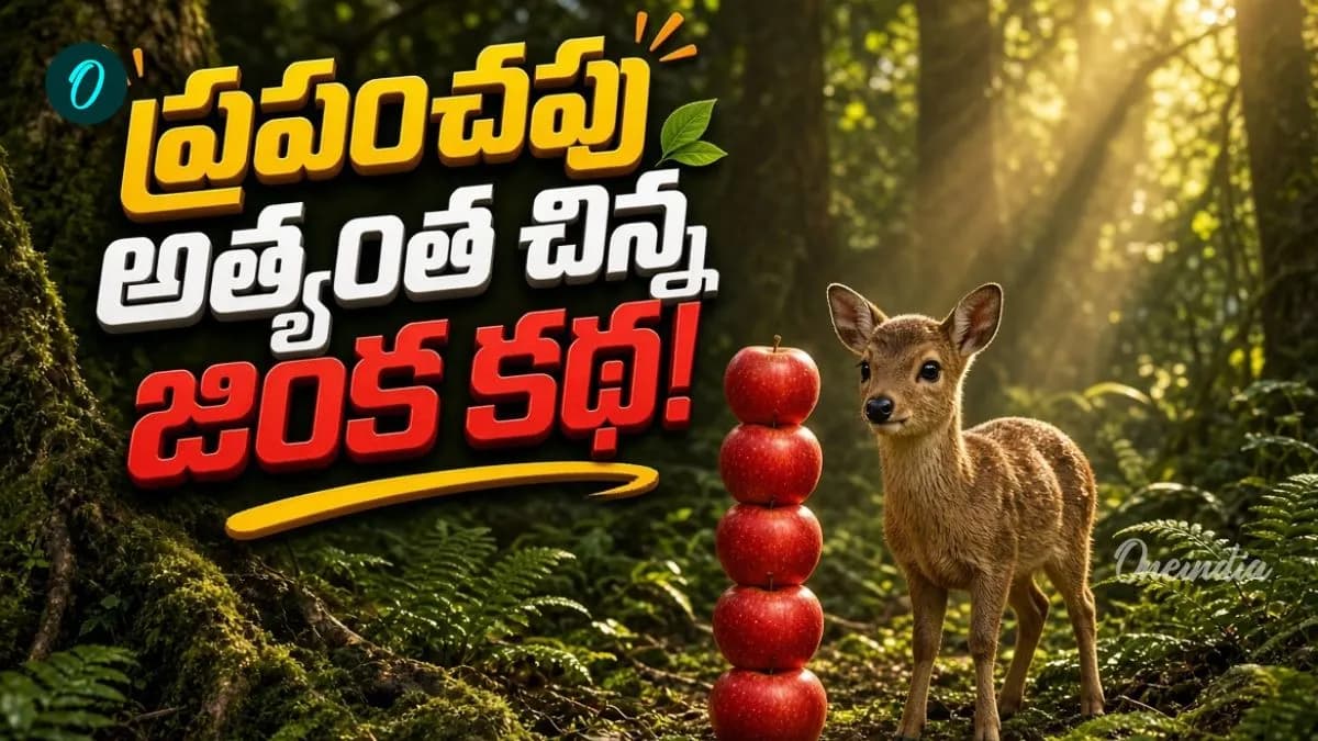 ఈ జింక అచ్చం కుందేలులా ఉందే! ప్రపంచంలోనే అరుదైన బుజ్జి జీవి