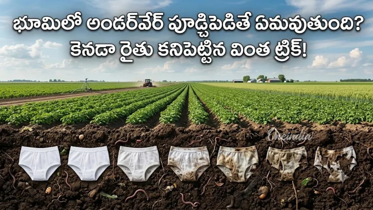 Underwear Test: వ్యవసాయంలో కొత్త ట్రెండ్, మీ భూమి జాతకం మారాల్సిందే!